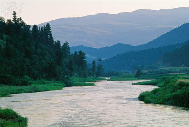 In Nevada, you can't Take too Much Water.