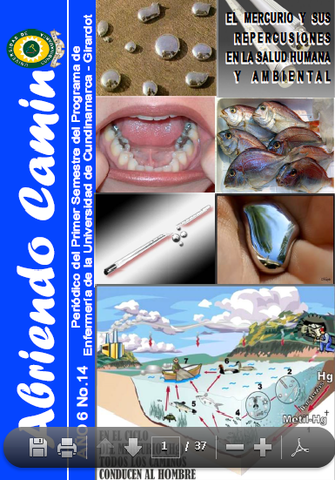 El mercurio y sus repercusiones en la salud humana y ambiental