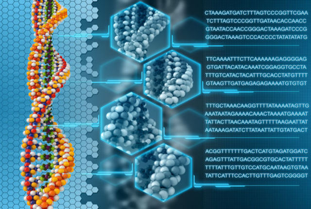 A computer is programmed with DNA