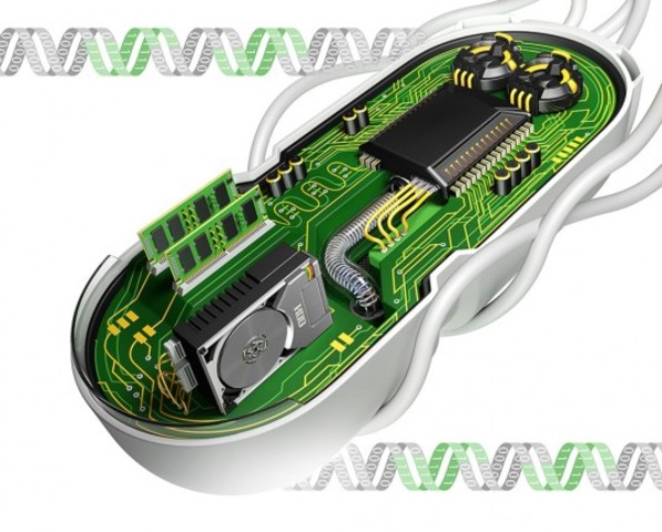MIT scientists run electrical circuits through a cell