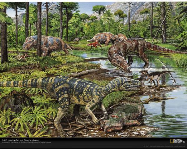 Triassic. 225-195 MYA