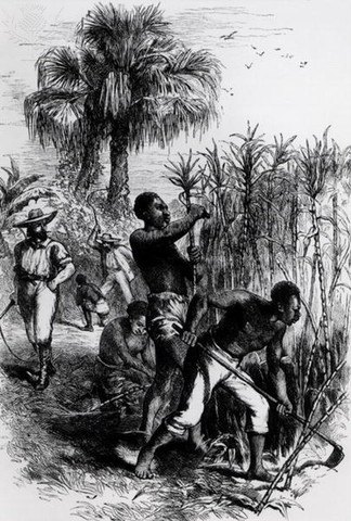 Slaves Were Freed in NJ