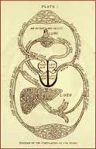 discovery of blood flow