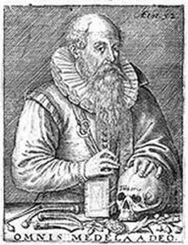 First Drawings of Vein Valves