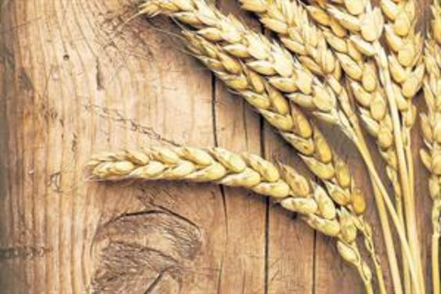 El Arte de la Simulación