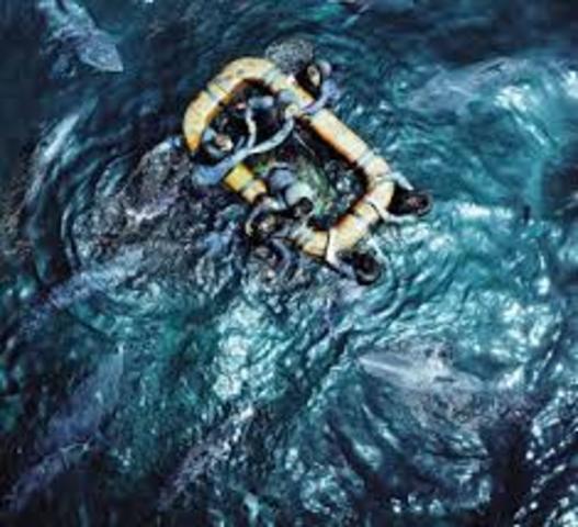 plane see's lots of men in the water