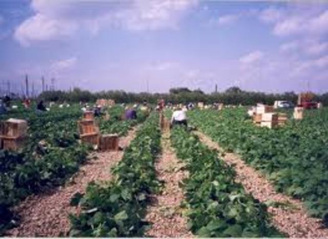 Migrant and Seasonal Agricultural Worker Protection Act (MSPA)