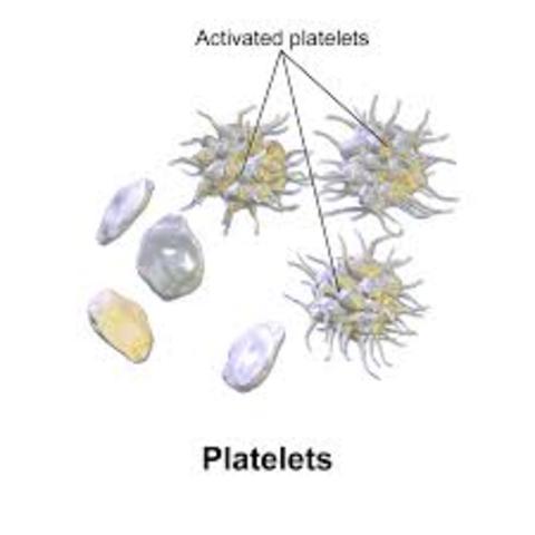 Platelets