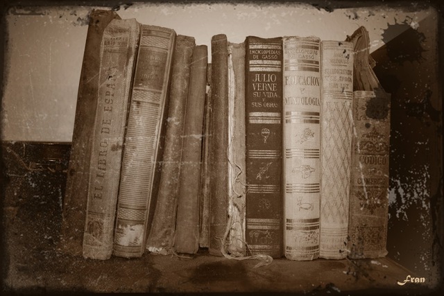 PUBLICAN EL PRIMER LIBRO DE SIMULACIÓN