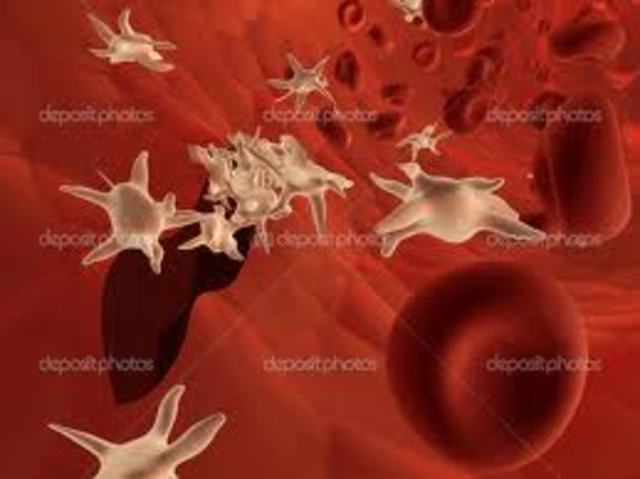 Platelets Observation