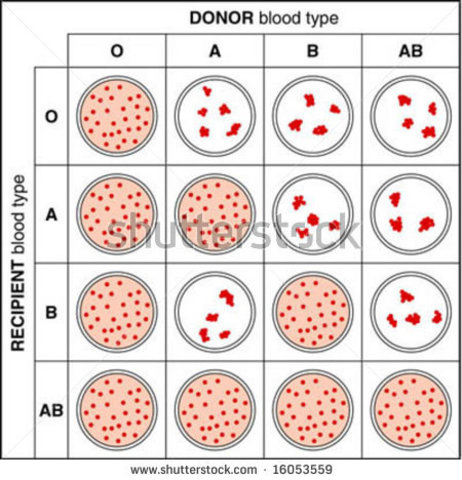 Dr. Reuben Ottenberg