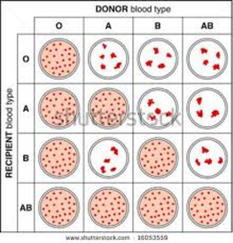Cross Matching Success