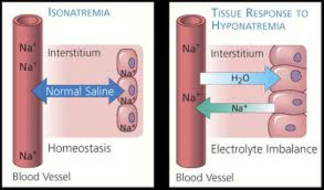 Sodium Citrate in Blood