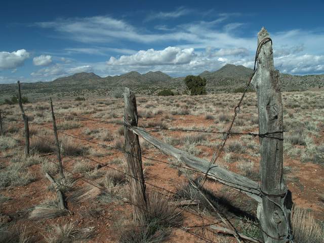 Barbed Wire is evented