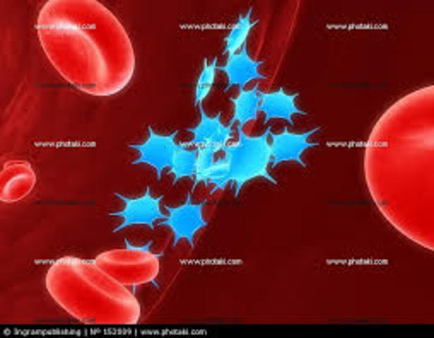 Platelets