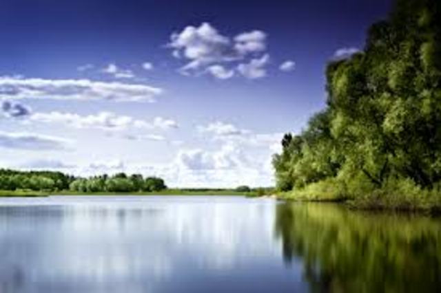 Organizaitonal environment theory