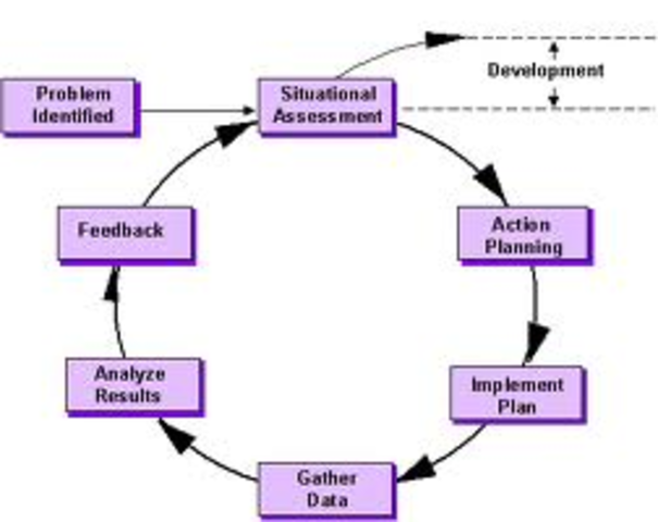 Organization Development