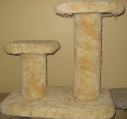 Ninth day of march break