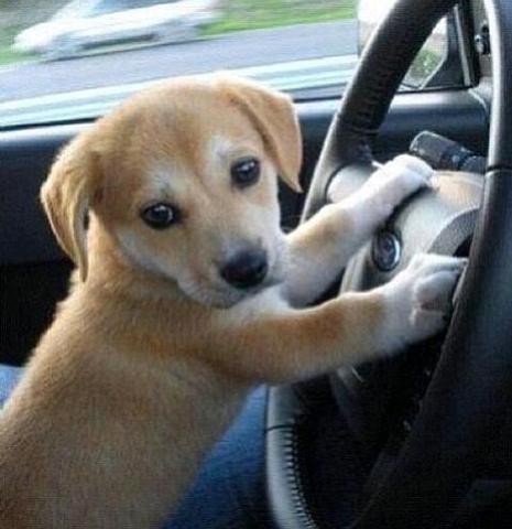 Mujer al volante peligro incesante.