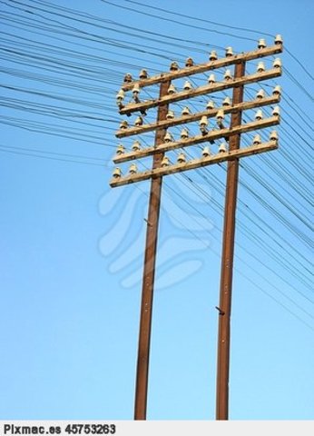 Las líneas telegráficas cubren casi todo Estados Unidos.