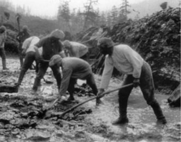 Article 121 signed into law.