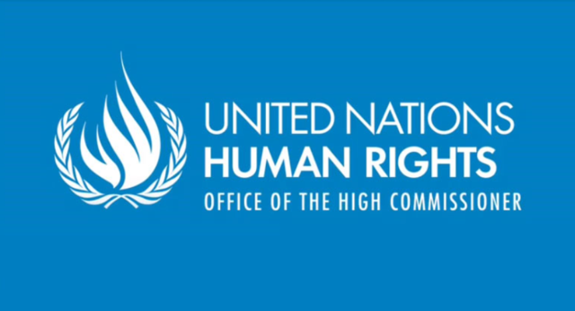 Irina Fedotova v Russian Federation