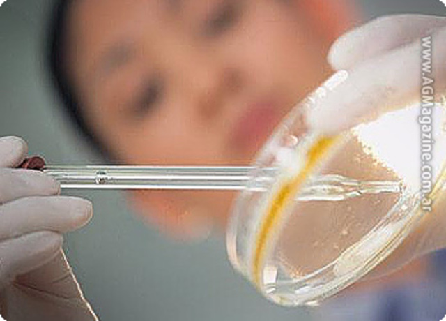 terapias antimicrobianas