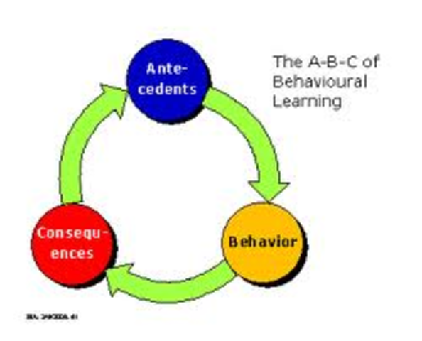 Management Operant Conditioning Theory