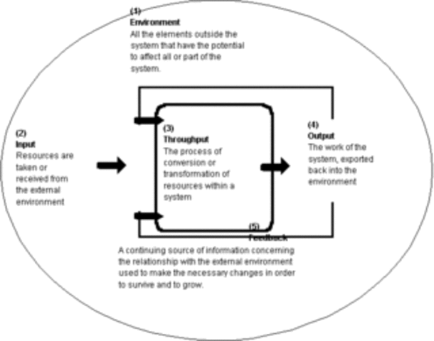 The Open-Systems View