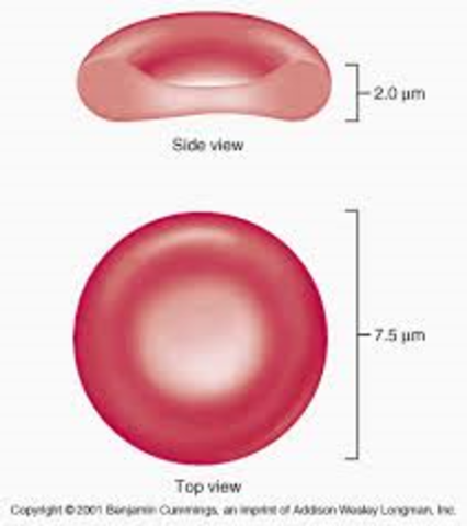 Red Blood Cells
