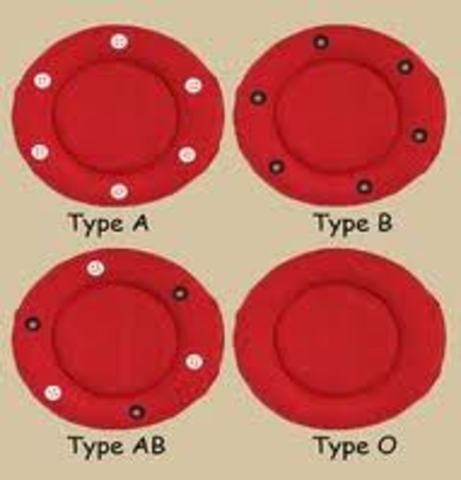 Three Main Blood Groups
