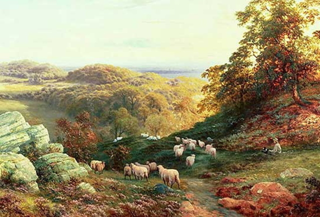 The Enclosure Movement