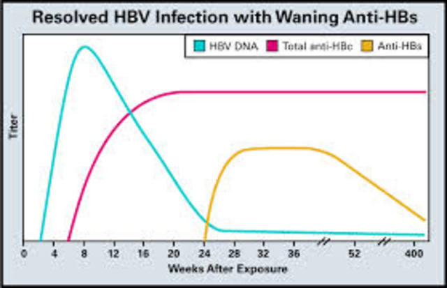 Multiple tests are discovered to test for evidence of hepatitis