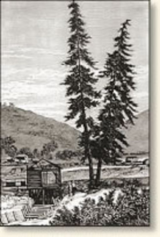 California Gold Rush begins