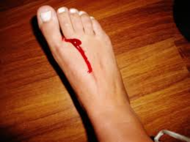 2500 B.C.E- Egyptians