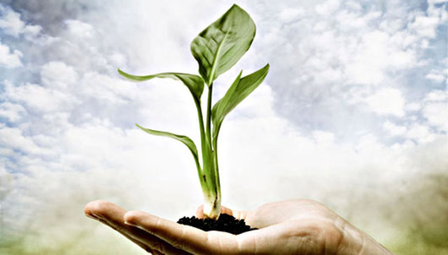 First Earth Day Celebration