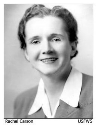 Rachel Carson’s Silent Spring