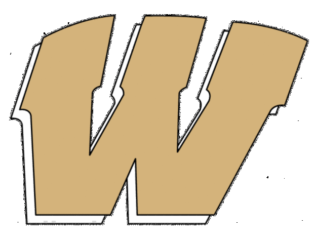 Joined the Warren Central wrestling team.