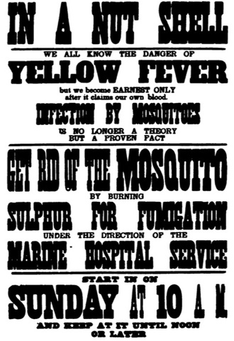 Yellow fever