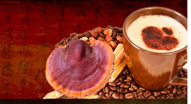 EL INICIO DEL GANODERMA LUCIDUM 365 EN COLOMBIA
