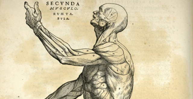 Andreas Vesalius Publishes On the Fabric of the Human Body