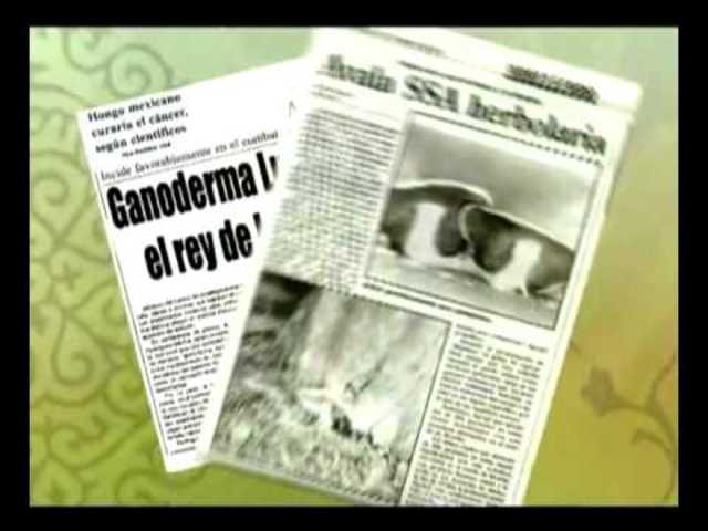 LA EVOLUCION DEL GANODERMA LUCIDUM