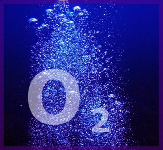 "OXIGENO" 2.500 MILLONES DE AÑOS