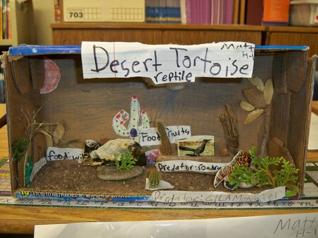 Mrs. Kardos' Diorama-rama!
