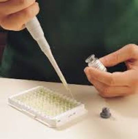 The ELISA Test