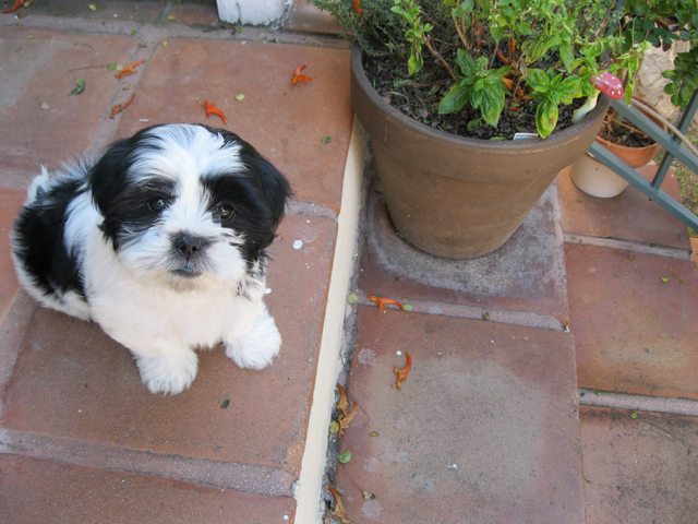 Mobley Joins the Family