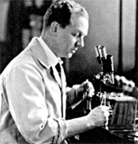 Rockefeller Institute