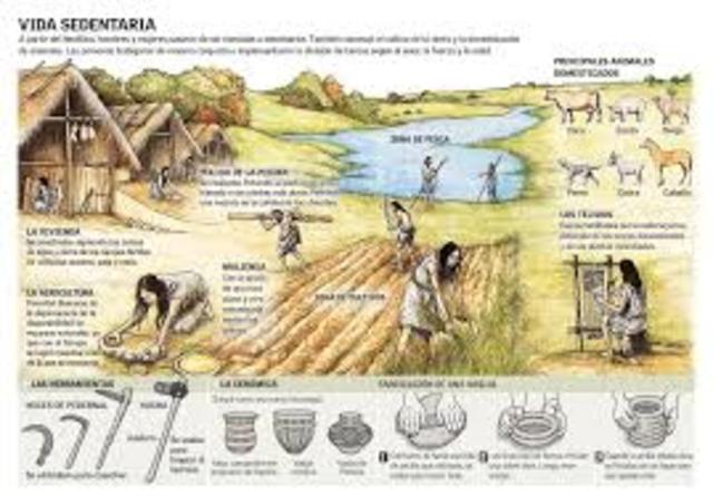 DOMINIO DE LA AGRICULTURA