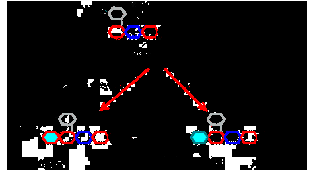discovery of main blood groups