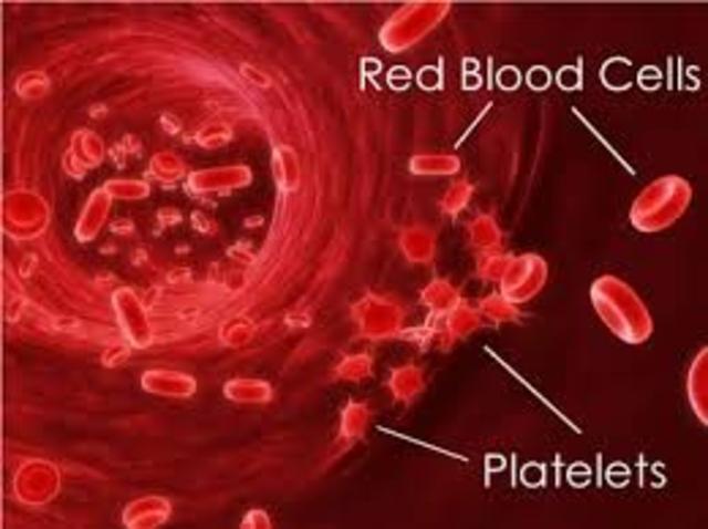 Platelets are discovered